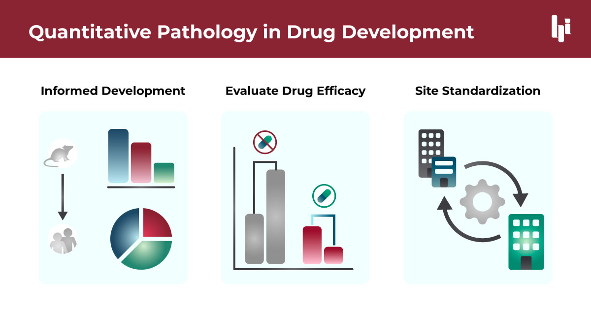 Applications of Quantitative Pathology in Clinical Trials Drug Development​