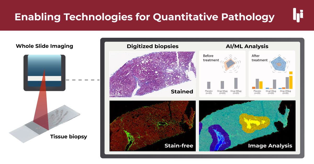 Enabling Technologies for Quantitative Pathology