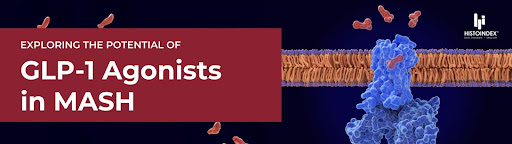 Exploring the Potential of GLP-1 Agonists in MASH